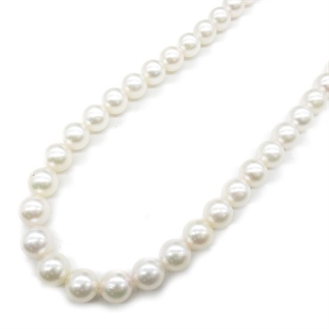 JEWELRY Pearl Necklace Silver925  White Used women