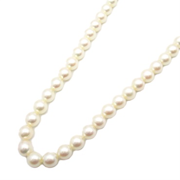 TASAKI Akoya Pearl Necklace Silver925 White Used #42.5