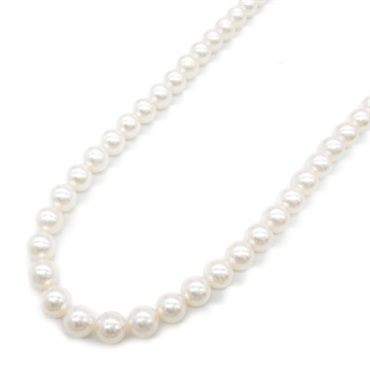 TASAKI Akoya Pearl Necklace Silver 925 White Used #43