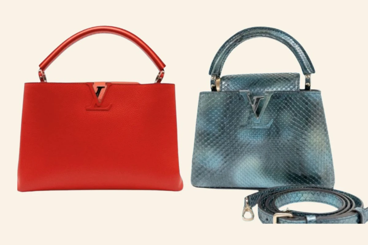 Louis Vuitton Speedy 25 vs 30