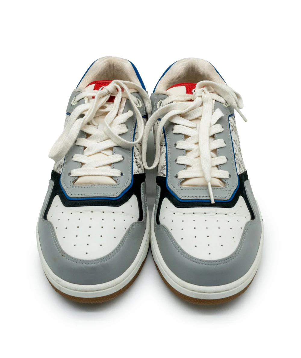 Dior Size 46 B27 low top sneakers in grey and white calfskin leather with Dior oblique