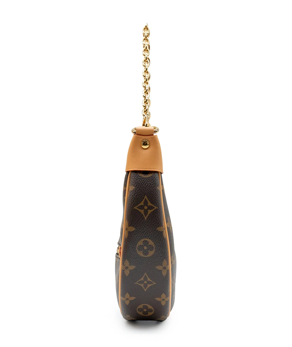 Louis Vuitton Monogram Canvas Loop Bag