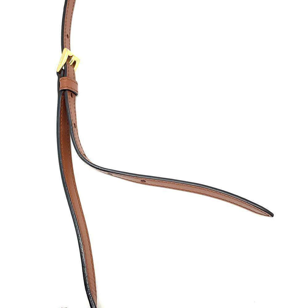 Prada City Calf Leather Brown Crossbody Bag