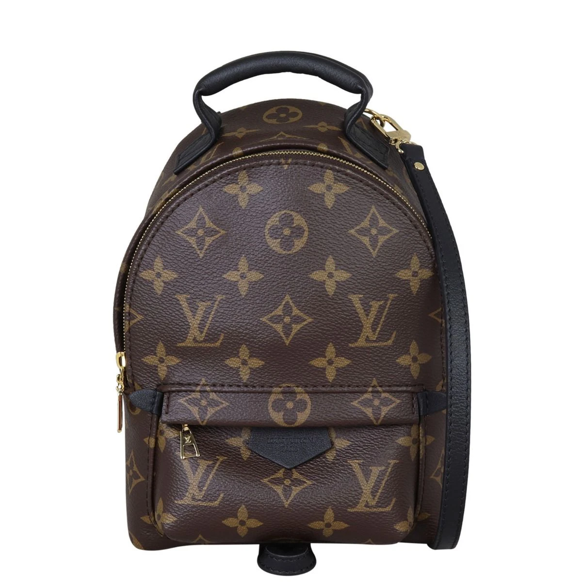 Louis Vuitton Palm Springs Mini Backpack