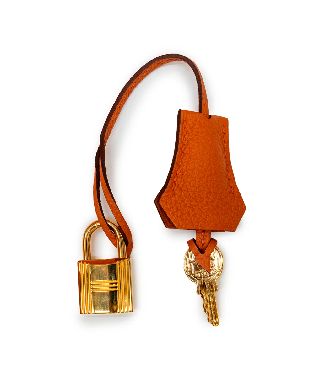 Hermes Birkin (Stamp B) Size 25 Togo Leather handbag in Orange with Gold Hardware Brand New Year 2023
